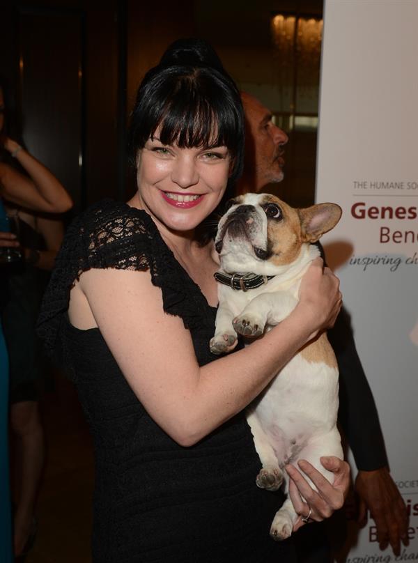 Pauley Perrette