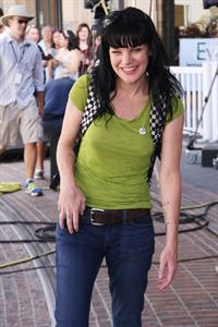 Pauley Perrette
