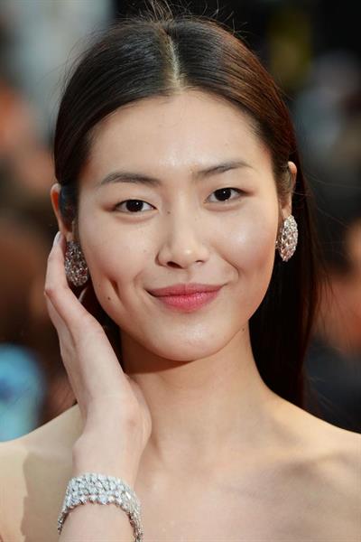 Liu Wen
