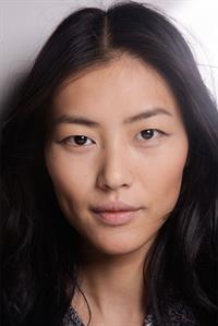 Liu Wen
