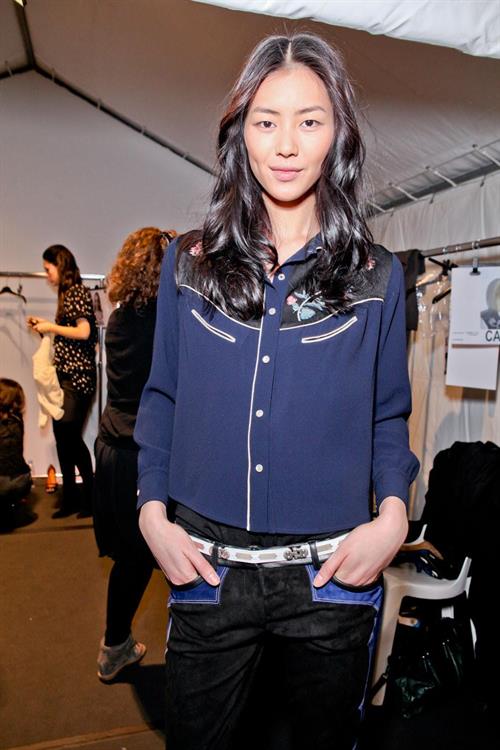 Liu Wen