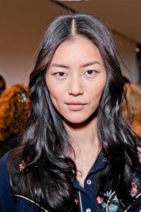 Liu Wen