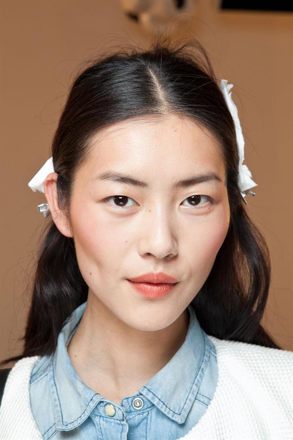 Liu Wen