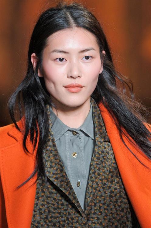 Liu Wen