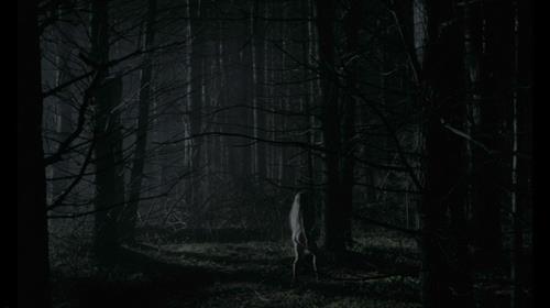 Anya-Taylor Joy in  The VVitch 