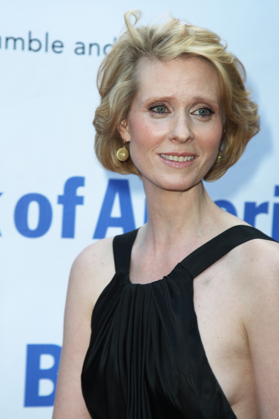 Next photo of Cynthia Nixon