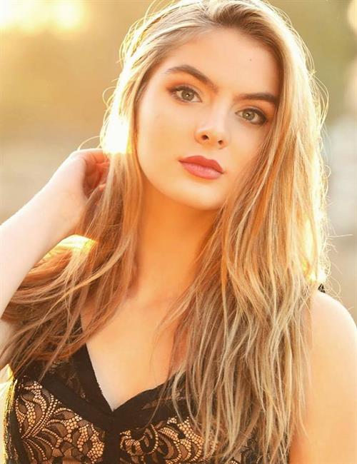 Brighton Sharbino