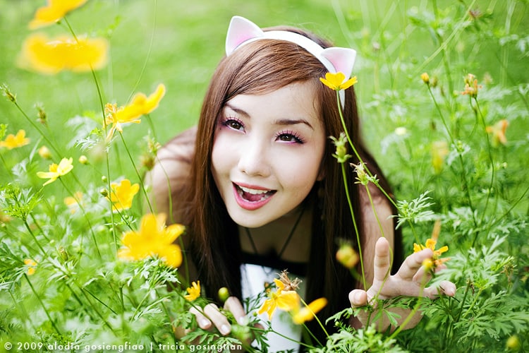 alodia-gosiengfiao