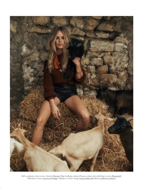 Anna Luisa Ewers