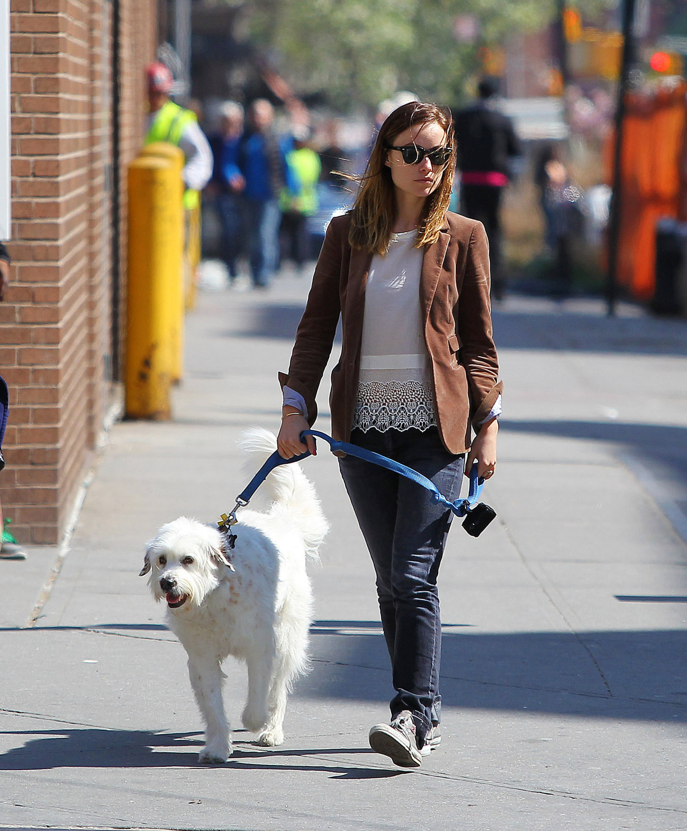 Olivia Wilde walking her dog in New York City - April 24, 2013 