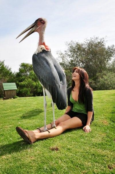 Tanit Phoenix