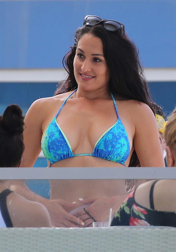 Nikki Bella bikini