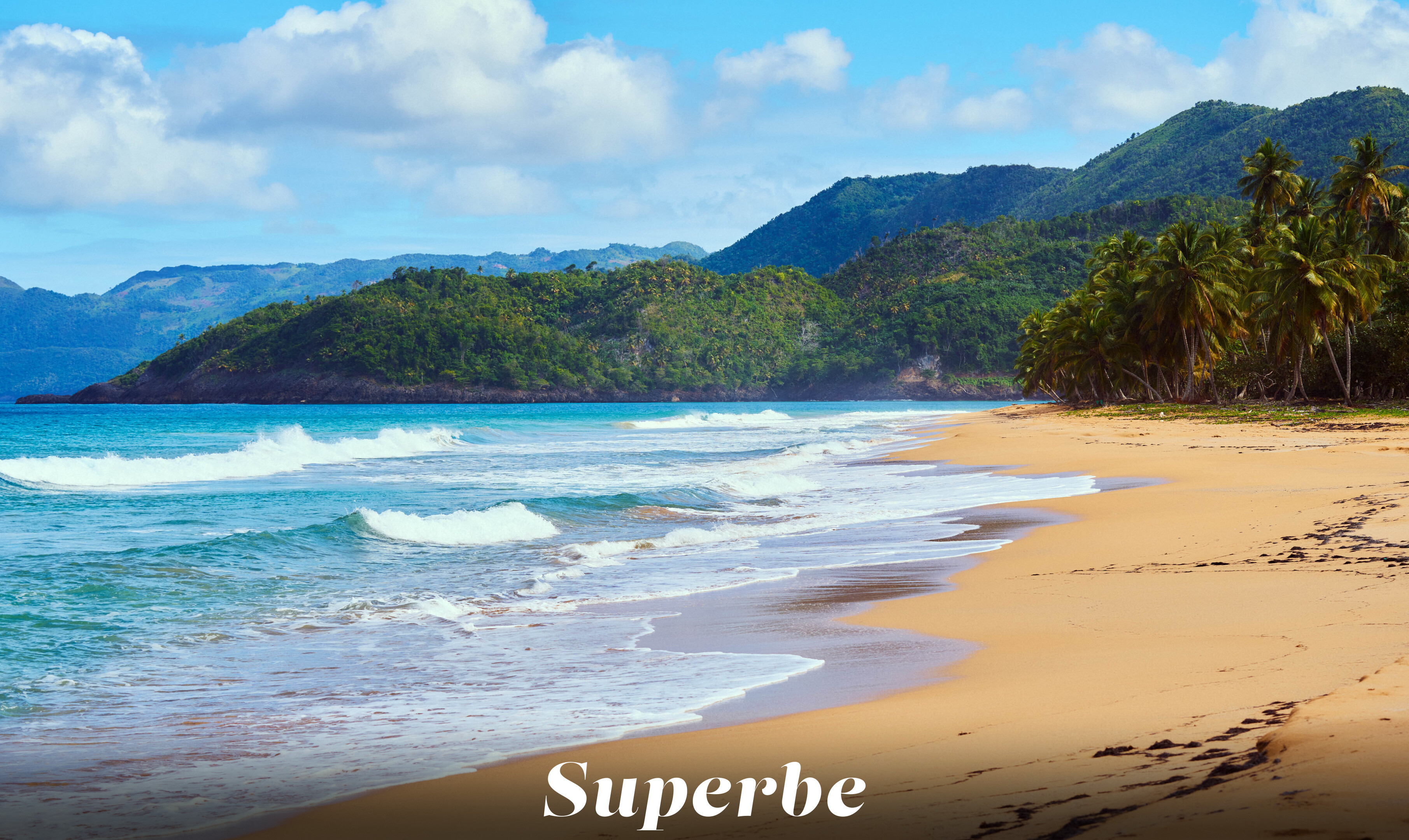 Lola Johnson castaway