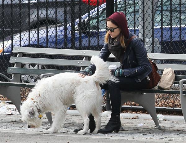 Olivia Wilde out walking her dog in New York City - February 16, 2013 