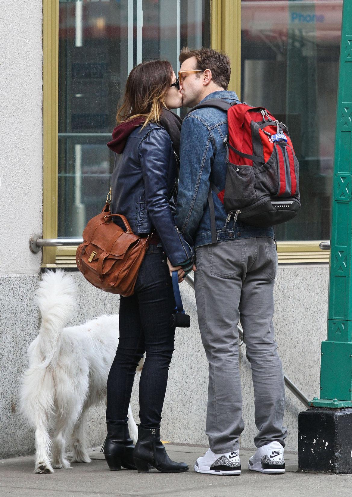 Olivia Wilde out walking her dog in New York City - February 16, 2013 