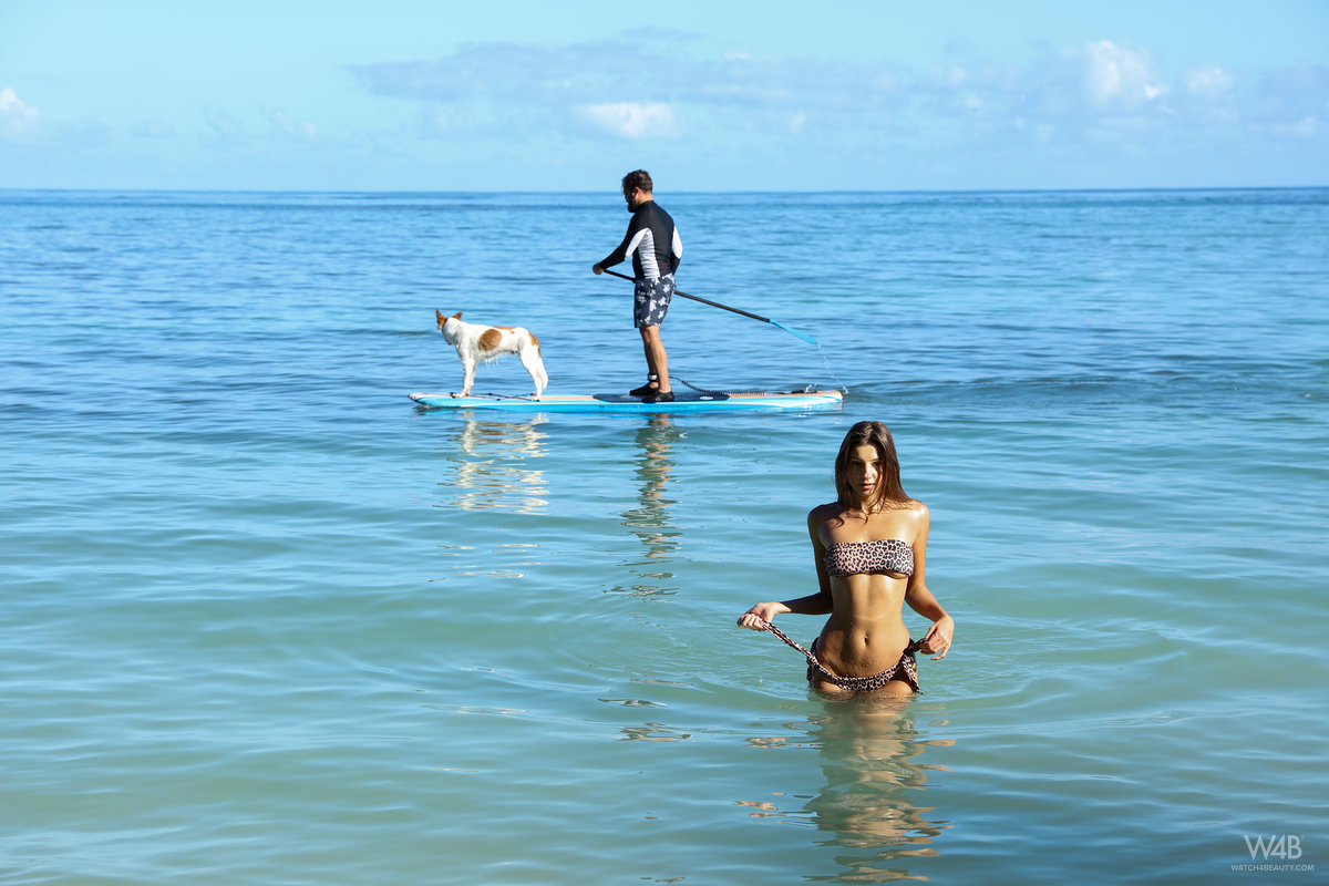 Maria: Tropical Paradise