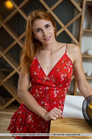 Siiri Nude Pictures Six Pack