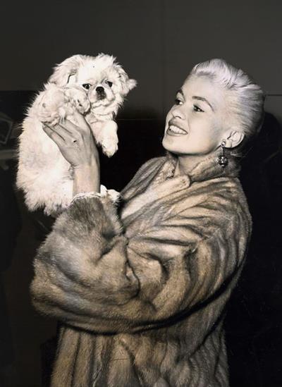 Jayne Mansfield
