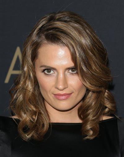 Stana Katic