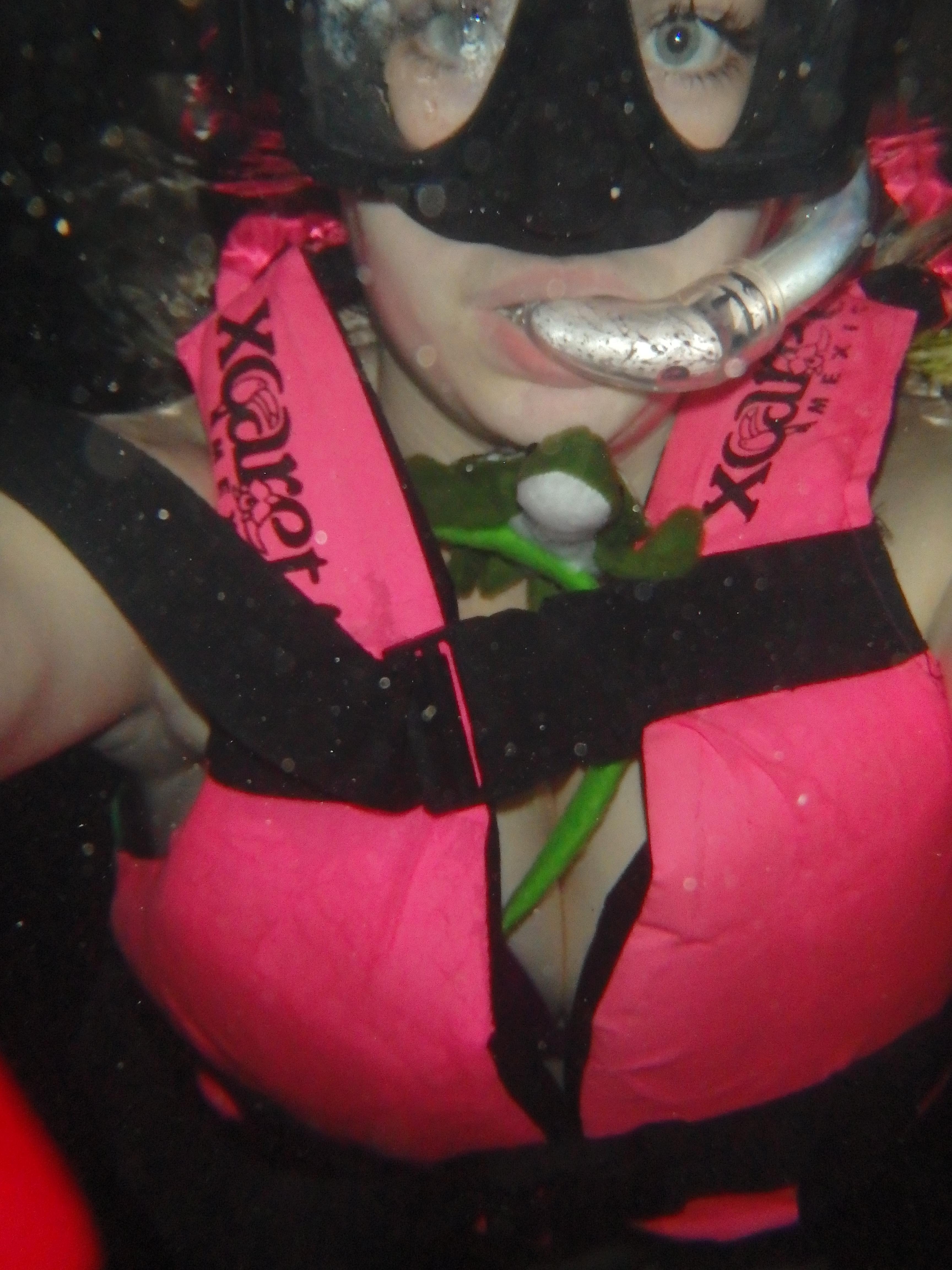 Fun In La Phoenix And Mexico