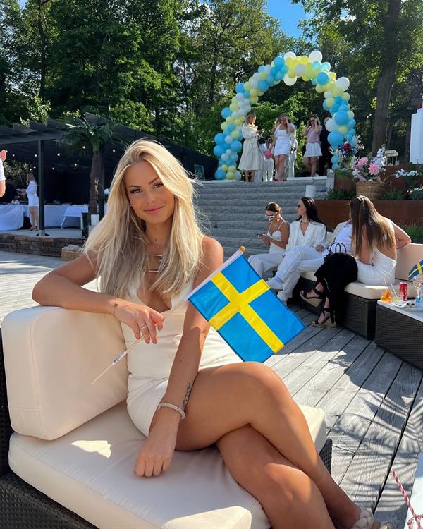 Swedish model