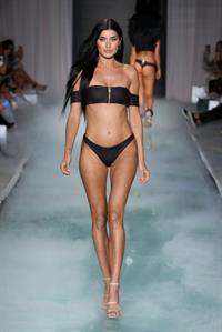 Nicole Williams English