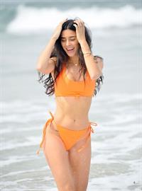 Nicole Williams English