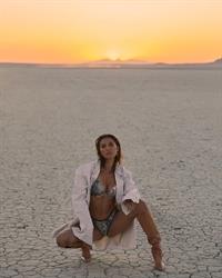 Nicole Williams English