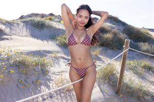 Liloo: Just Loves It By The Sea