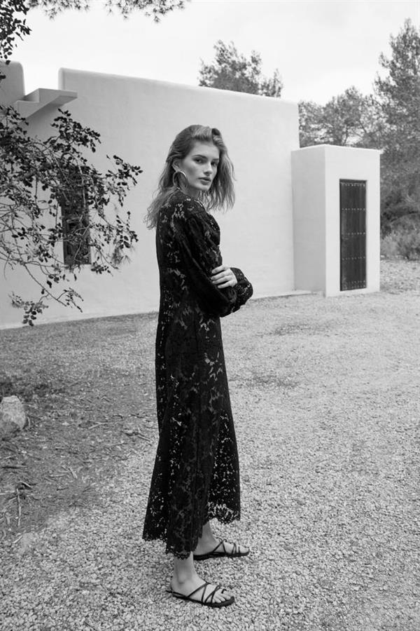 Signe Veiteberg