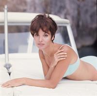 Elsa Martinelli in a bikini