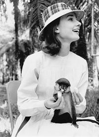Audrey Hepburn