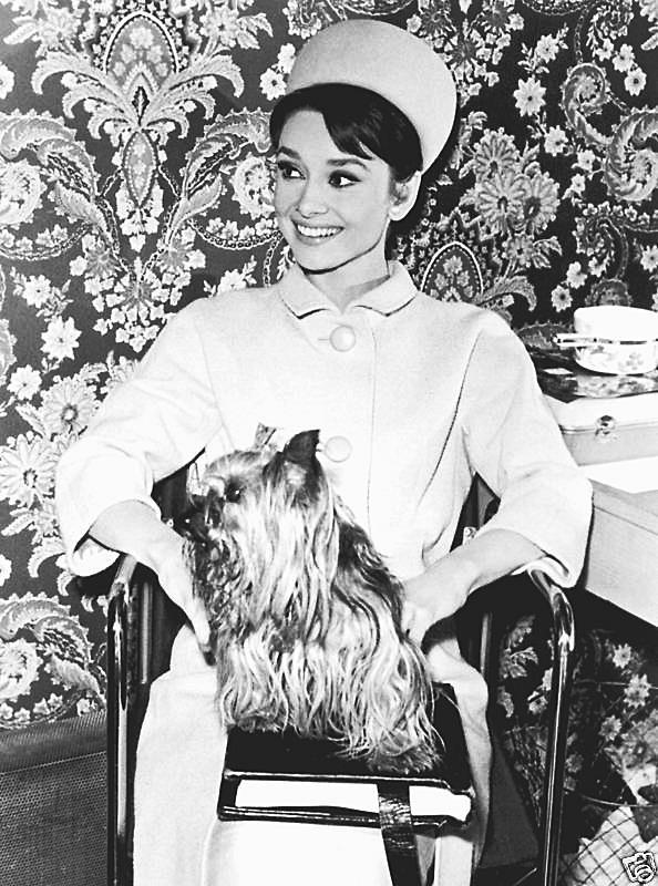 Audrey Hepburn