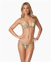 Celine Brinkgreve in a bikini