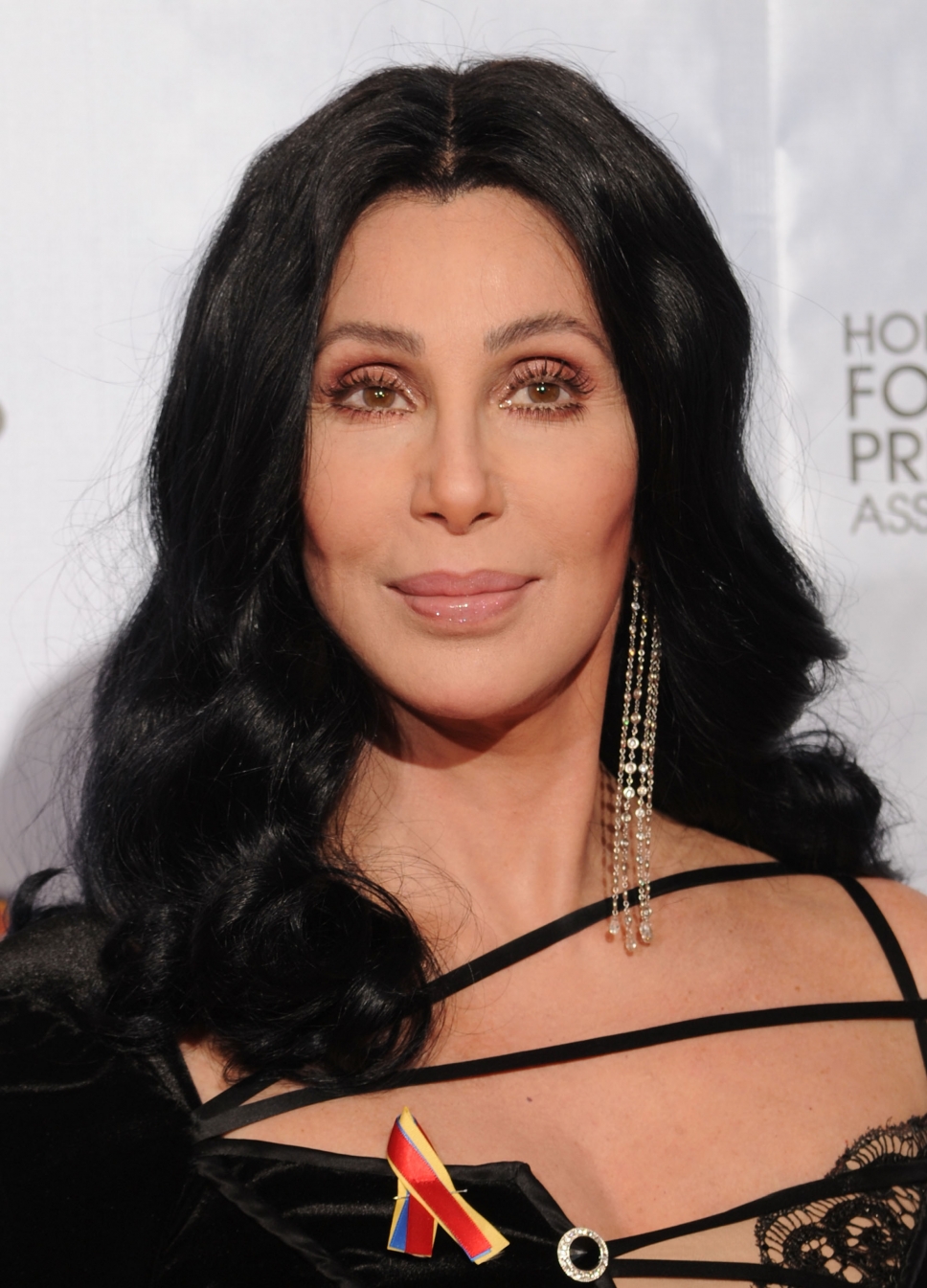 Cher Fakes