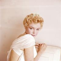 Marilyn Monroe Pictures Marilyn Monroe