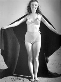 Marilyn Monroe in a bikini