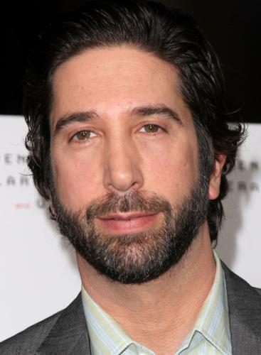 David Schwimmer